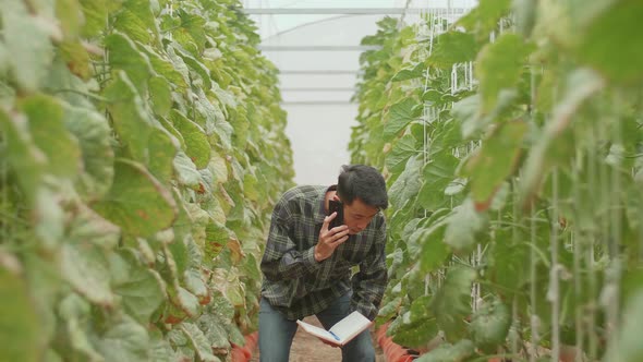 Asian Farmer Talking On Mobile Phone In Organic Farms With Book. Agriculture Or Cultivation Concept