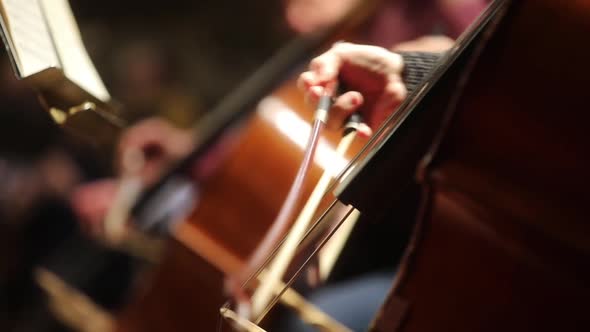 Person performing on a cello
