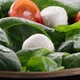 Cherry tomato and mozzarella falling down in fresh salad - VideoHive Item for Sale