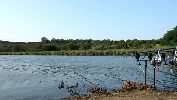 Carp Fishing Rods with Carp Bite Indicators and Reels Set Up on Rod Pod on a Background of Lake or