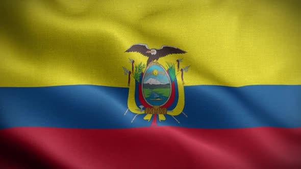 Ecuador Flag Loop