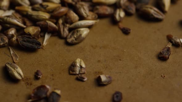 Rotating shot of barley and other beer brewing ingredients - BEER BREWING