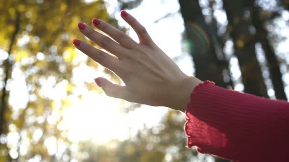 Young Female Hand with Manicure Plays with Sun Beams on Sky's Background