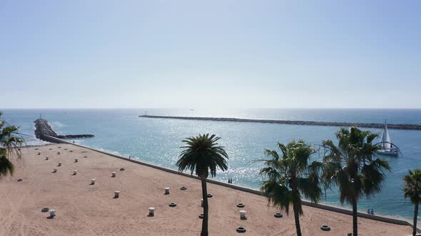 tall palm trees on Newport beach, California, along breakwater at the entrance to the bay. Aerial vi