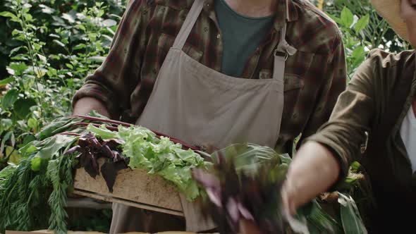 Owners of Farmers Market