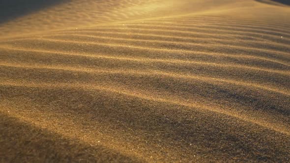 Sand Storm in Desert. Sand Blowing Over Sand Dunes in the Wind