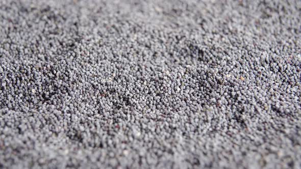 Heap of dry poppy seeds. Macro. Selective focus. Extreme close-up