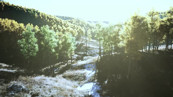 Valley with Autumn Trees Among the Mountains Lit By the Sun at Sunset alt