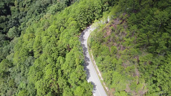 Aerial view of a car running along the mountain road through tropical forest in countryside by drone