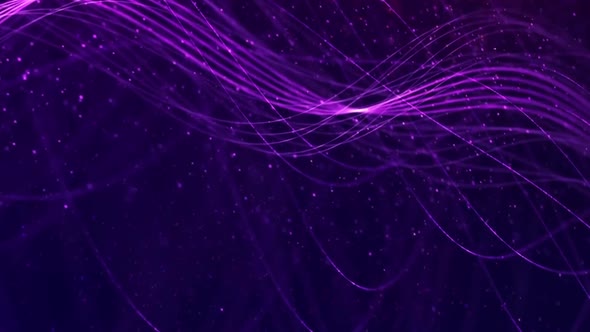 Purple Line Moving Motion Graphics Background Animation