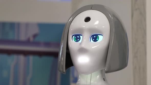 The Robot is Made in the Form of a Girl Who Communicates with People