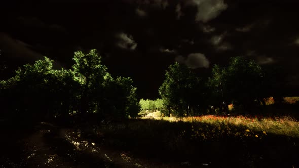 Thunderstorm Clouds with Lightning in Green Meadow