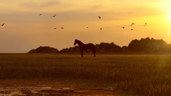 Horses and Birds Sunset Landscape