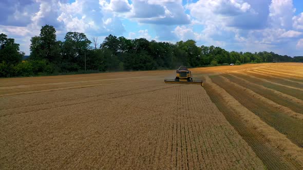 Modern combine harvester on golden field. 