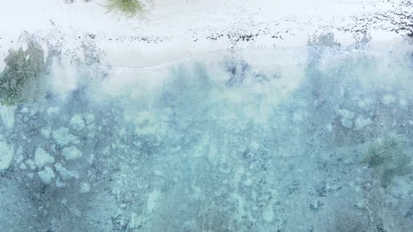 Vertical Video Empty Beach on Zanzibar Island Tanzania Aerial View