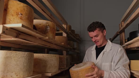 Curlyhaired Cheese Maker Checks the Maturation of Parmesan