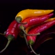 Hot chilli peppers isolated rotating on a black background. - VideoHive Item for Sale