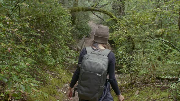 Following Shot of a Young Woman Walking on a Redwood Forest Trail