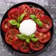 Burrata Cheese Served with Fresh Tomatoes and Basil Leaves Traditional Italian Salad - VideoHive Item for Sale