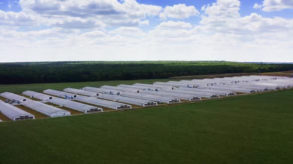 Aerial view of industrial poultry house in the country.