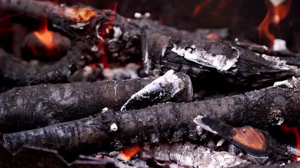 Tongues of flame fire. Close up of outdoor fire burning