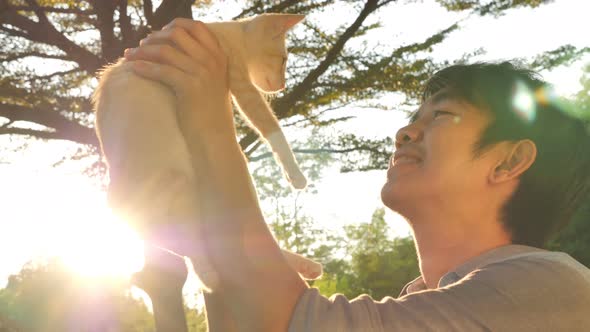 Slow motion 4K Asian man playing with cute tabby cat on sunny day.