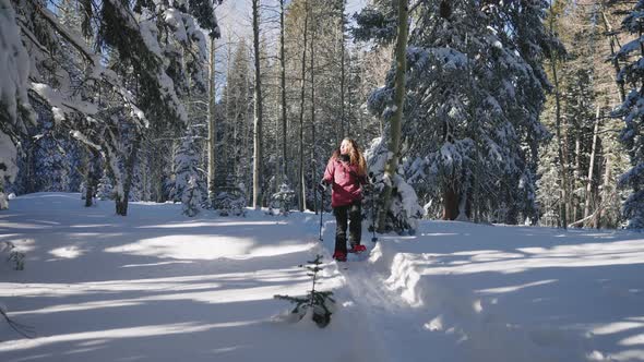 Beautiful Woman Snowshoeing through the forest. Fresh snow fall in Colorado.