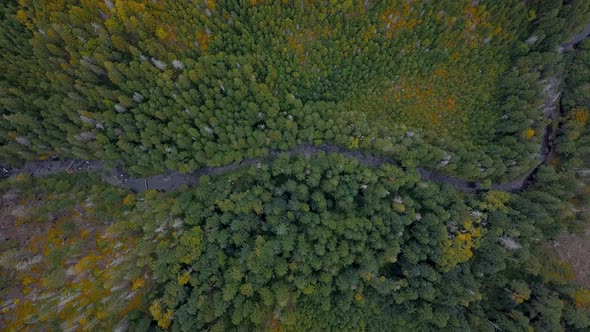 Aerial top down overhead view of a creek flowing through the forest in the Cascade Mountains.