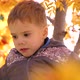 The Child Climbed a Tree - VideoHive Item for Sale
