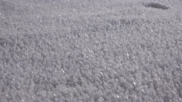 Rime Ice Crystals and Hoar Frost Covered on Grounds