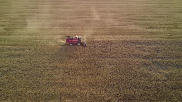 Lone Combine Harvester Reaps a Dusty Field of Crops