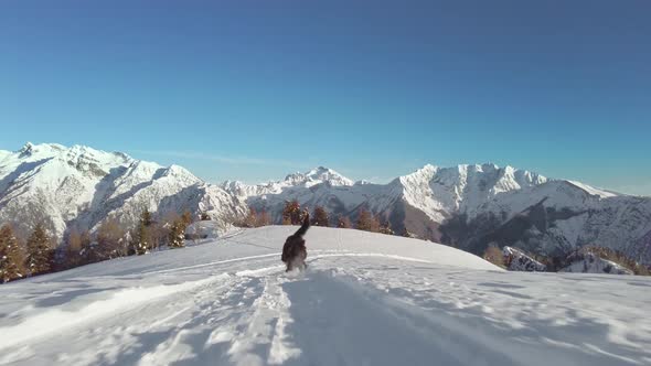 A Bergamasco Shepherd Dog Runs In The Snow On The Snowmobile Track