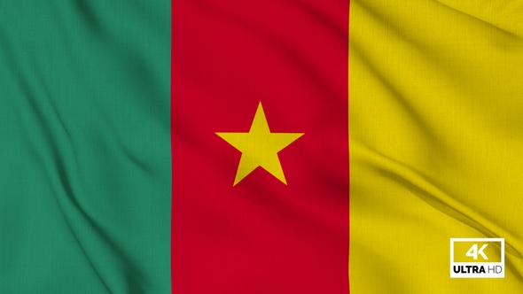 Cameroon Flag Waving Slowly Looped