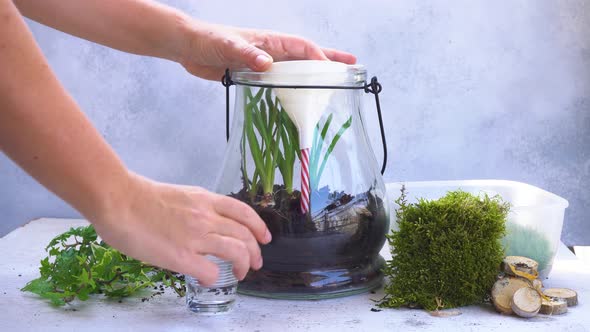 Indoor Gardening