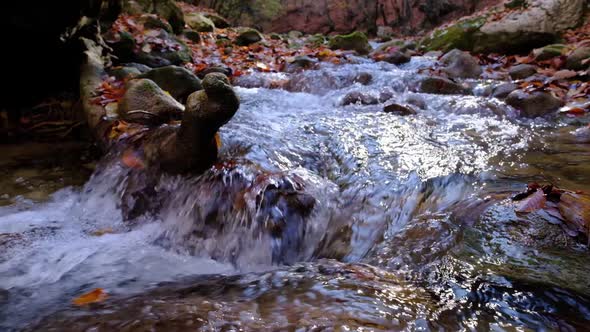 River with Flowing Water in Autumn Day