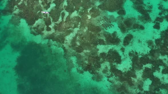 The Coral Reef and Sandy Beach on a Tropical Island Aerial Top View