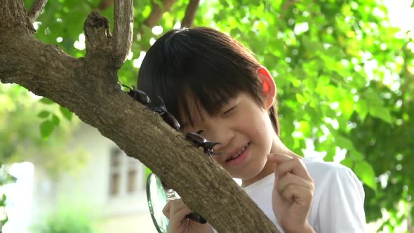 Cute Asian Child Looking Through A Magnifying Glass At A Rhinoceros Beetle In The Forest