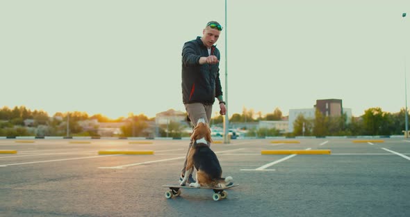 Owner Trains Beagle Dog to Skate in the Parking