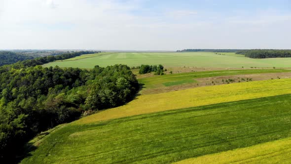 Green, Orange and Light Brown Field, Forest and Blue Sky. Summer.