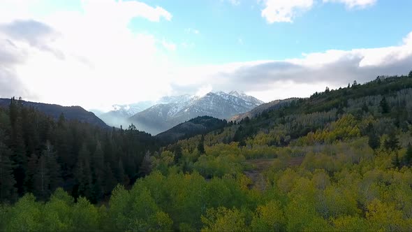 Fall colors, Golden Quaking Aspens, rugged snow capped mountains and fluffy white clouds are part of