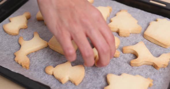  finishing Cookies on Metal Tray 