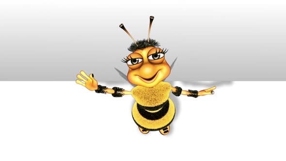 Cartoon Bee Show  Looped on White Background
