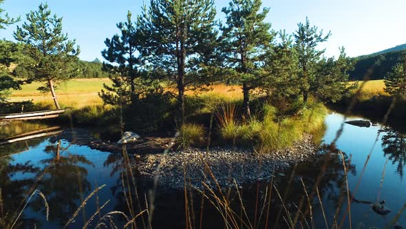 Zlatibor Mountain, Serbia. Colorful Pristine Nature, Creek and Meadow