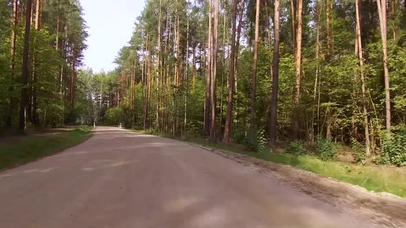 Driving a Car on a Deserted Forest Road