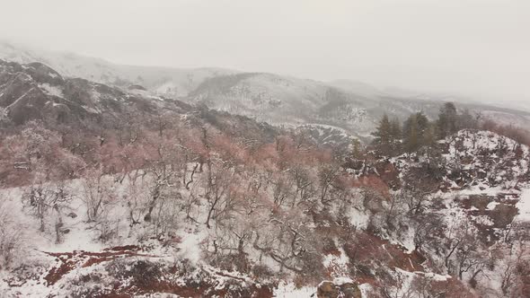 Georgian Canyons Nature Under Snow In Birtvisi