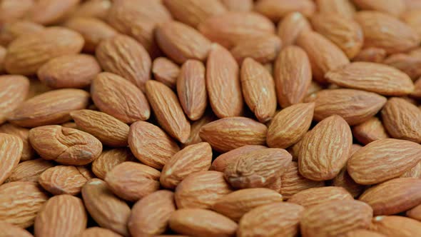 Looped Spinning Almond Closeup Full Frame Background