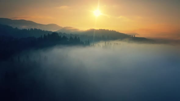 Fog Morning Nature Sun Sunrise Forest Mountains Clouds