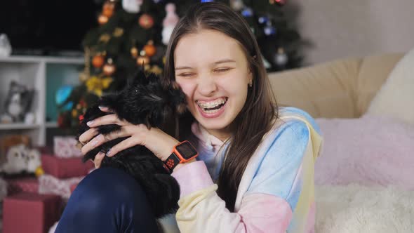 The girl laughs as the Yorkshire terrier puppy licks her.