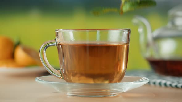 Black Tea in Cup Closeup