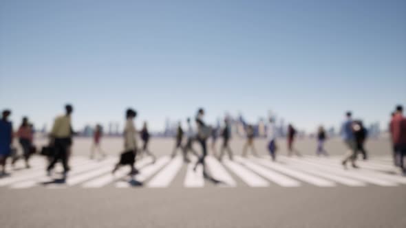 Zebra Crowd of People Deep of Focus